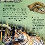 孩子们的动物大百科：Children's Animal Encyclopedia