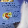 孩子们的图片百科Children's picture Encyclopedia