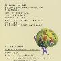引领少儿成长的经典阅读 格林童话 （注音版）