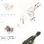 阶梯训练一点通-国画工笔·花鸟(阶梯训练一点通)