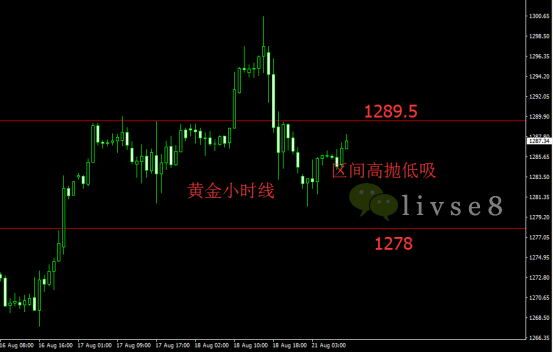 8.21午评现货黄金走势行情建议特朗普内忧外患