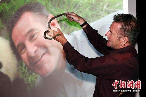 《 ma wen de xiong mao tan xian ji 》 shou bo zhi pian ren huo pin xiong mao da shi